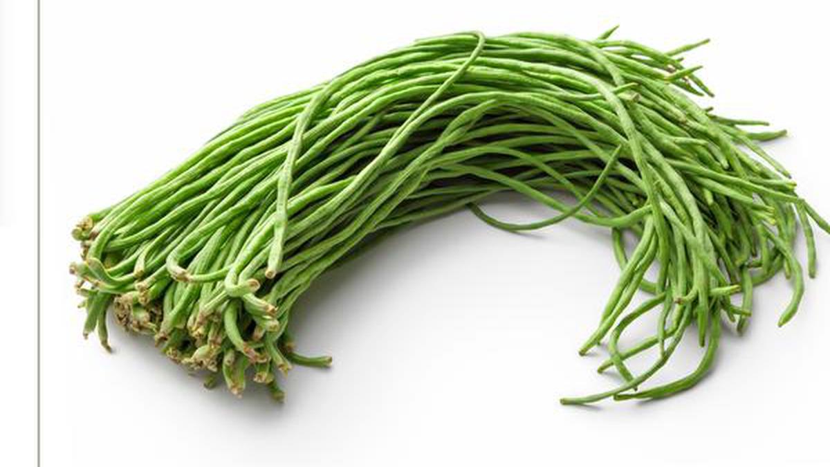 Long live the beans The Hindu